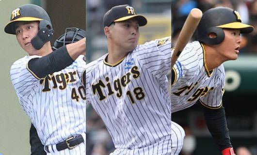 （左から）阪神・井坪陽生、馬場皐輔、前川右京