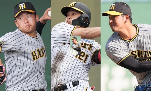 （左から）阪神・門別啓人、野口恭佑、岡留英貴