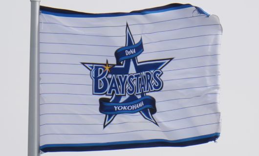 横浜DeNAベイスターズの球団旗
